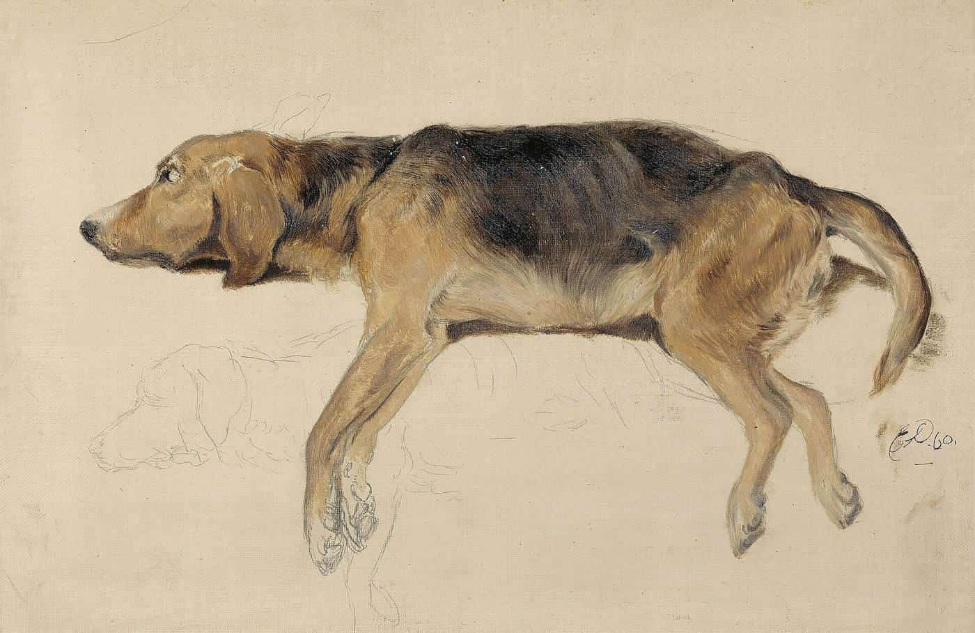 A nineteenth-century pencil study of a dog lying asleep