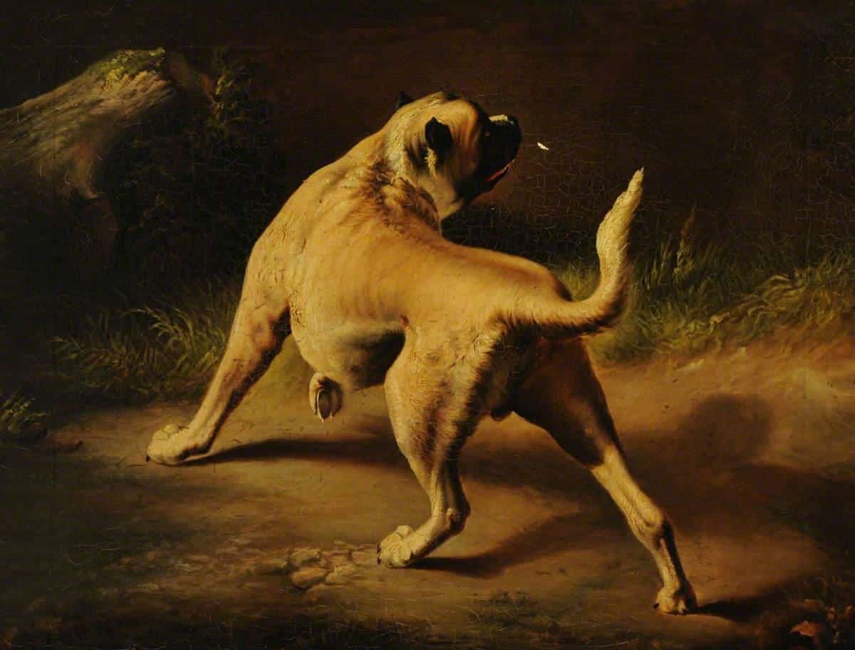 A nineteenth-century oil painting of a fawn dog standing alert in a landscape