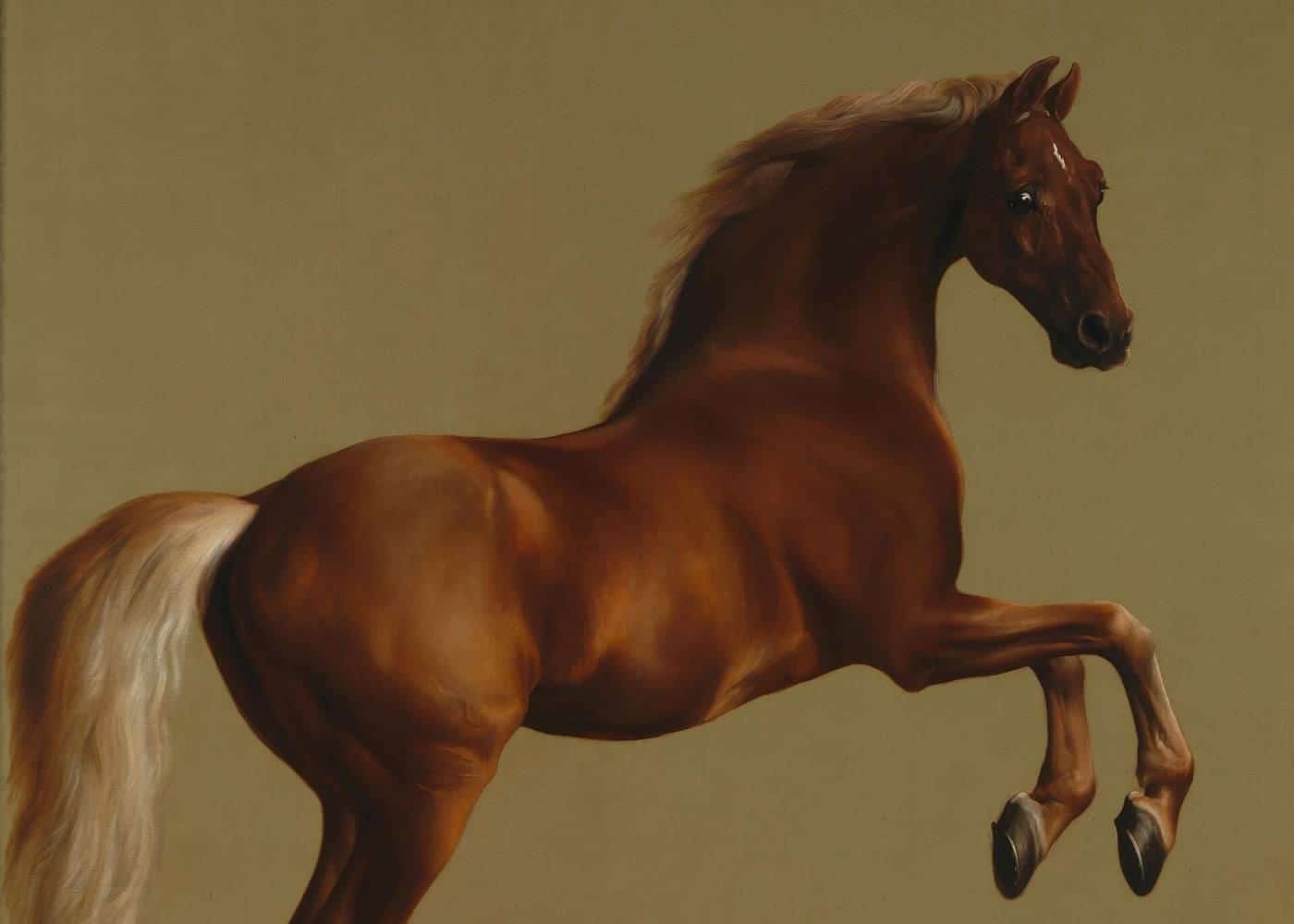 George Stubbs's life-size painting of the rearing racehorse Whistlejacket