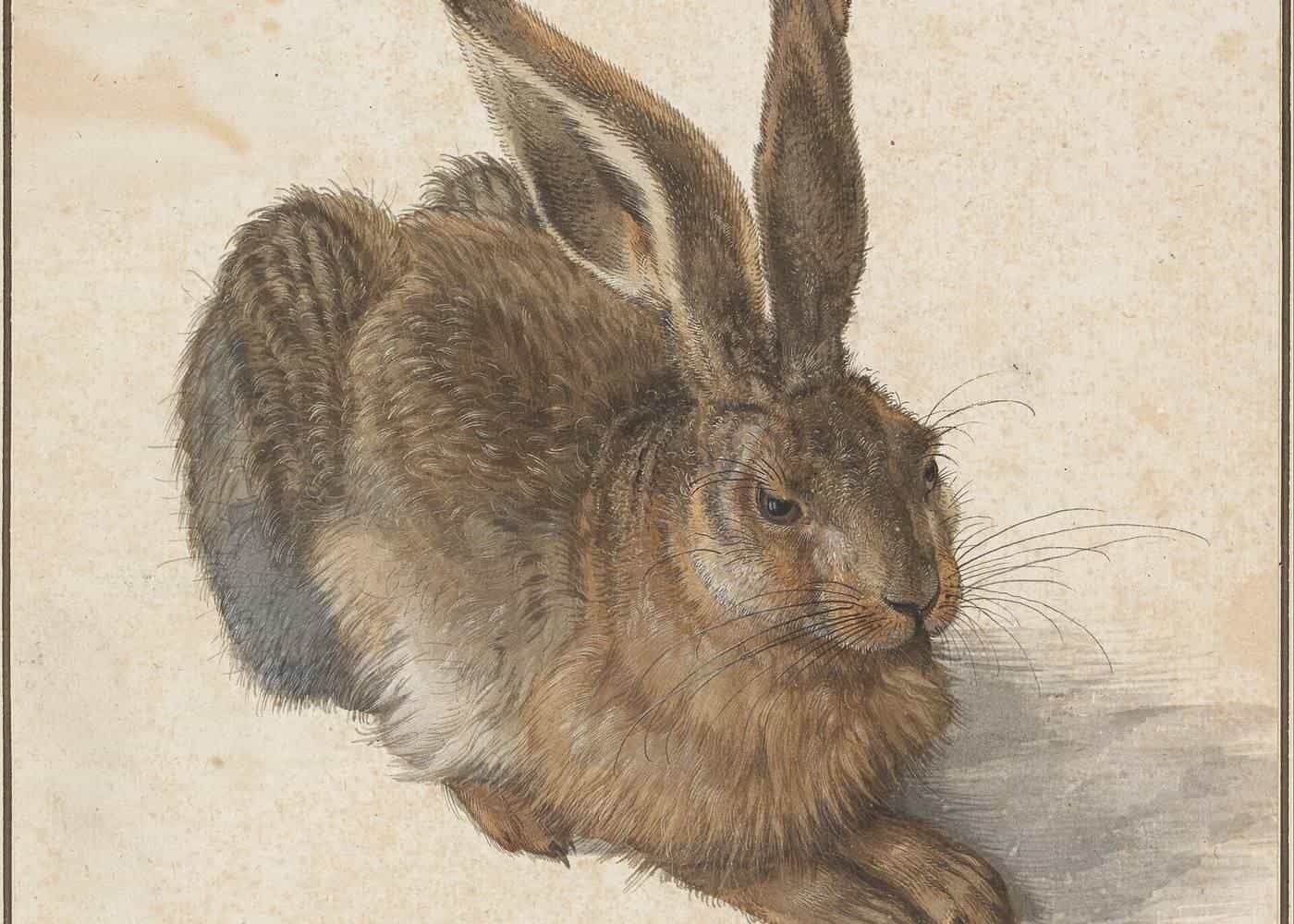 Albrecht Dürer's watercolour of a young hare